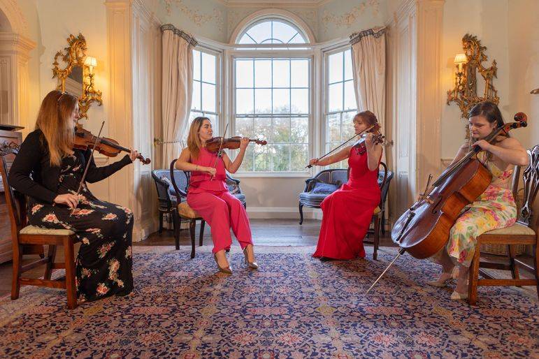 Click to enlarge image cardiff-strings-15.jpg