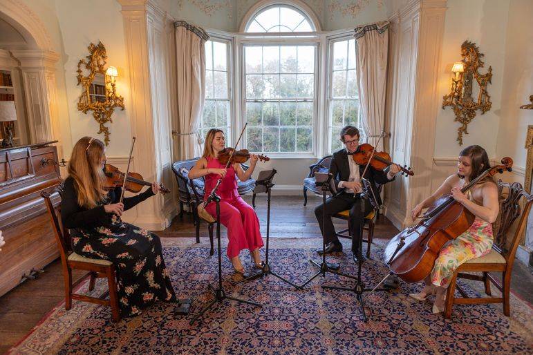 Click to enlarge image cardiff-strings-17.jpg