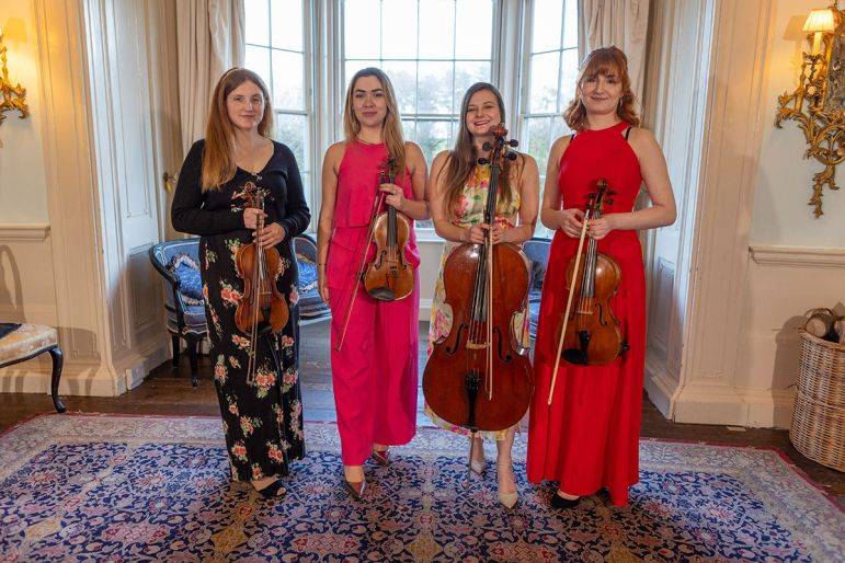 Click to enlarge image cardiff-strings-20.jpg