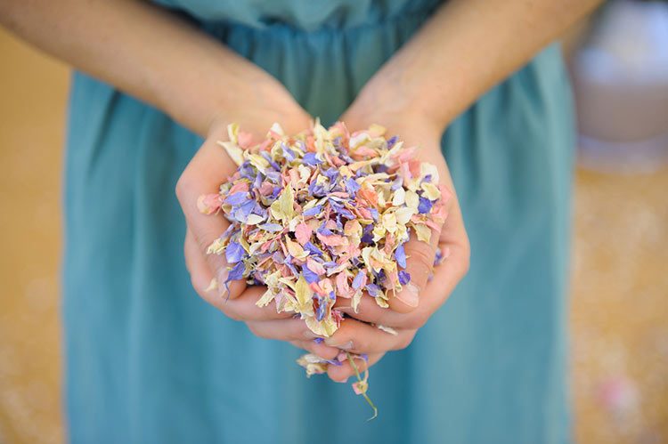 Shropshire Petals Confetti Biodegradable Wedding Confetti, Eco-friendly  Flower Petal Confetti