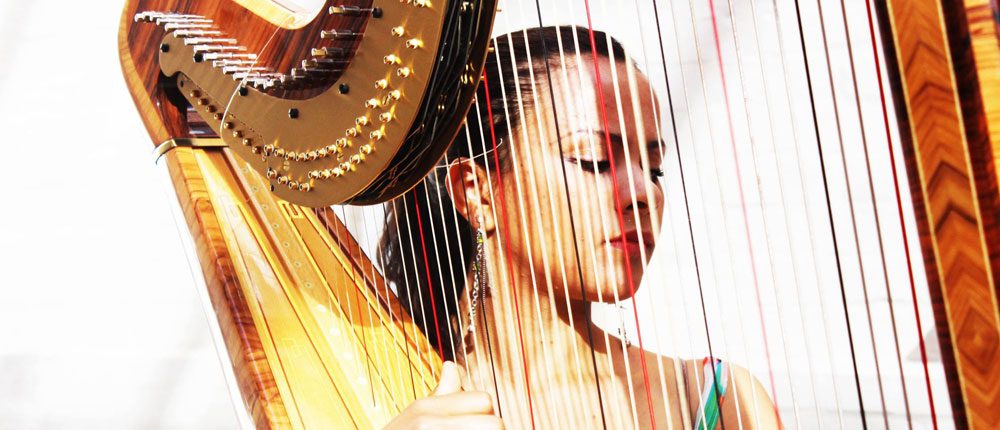 Herefordshire Harpists | Hire A Wedding Harpist In Herefordshire