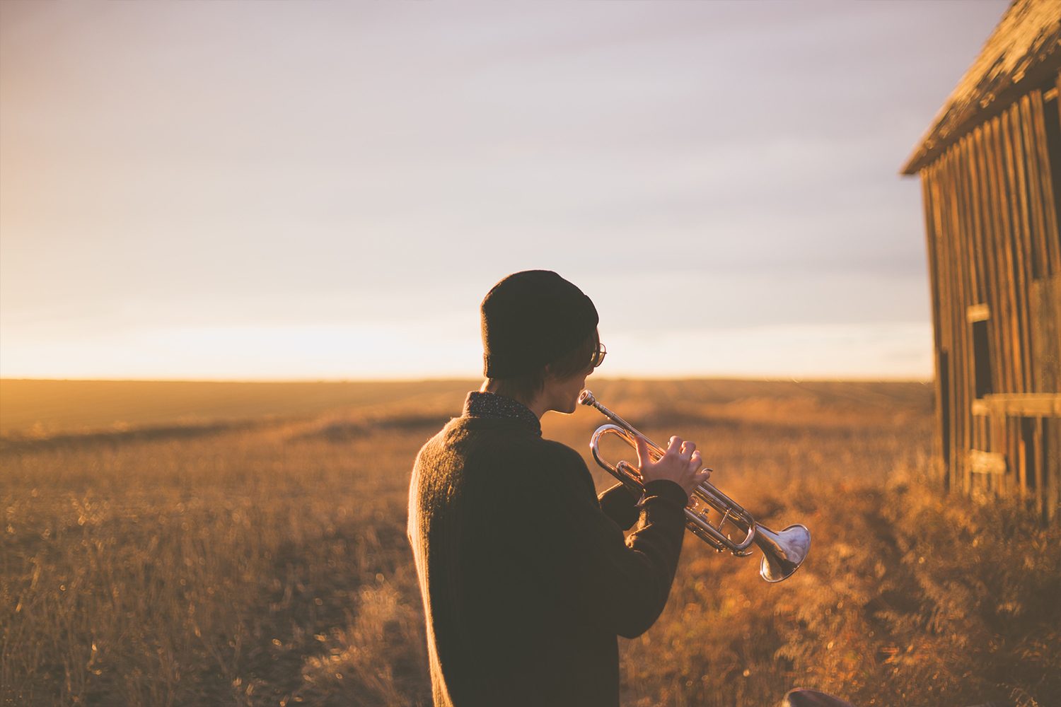 Trumpeter in a field