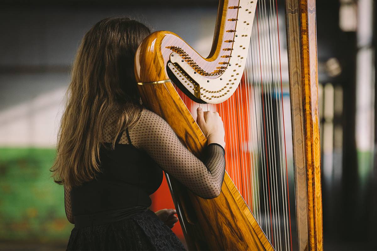 North West Female Harpist
