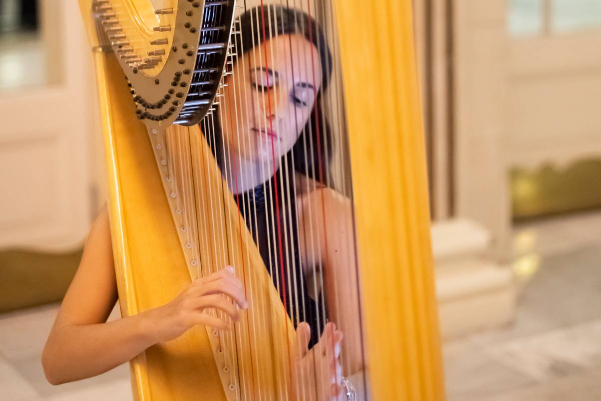Siena - Harpist