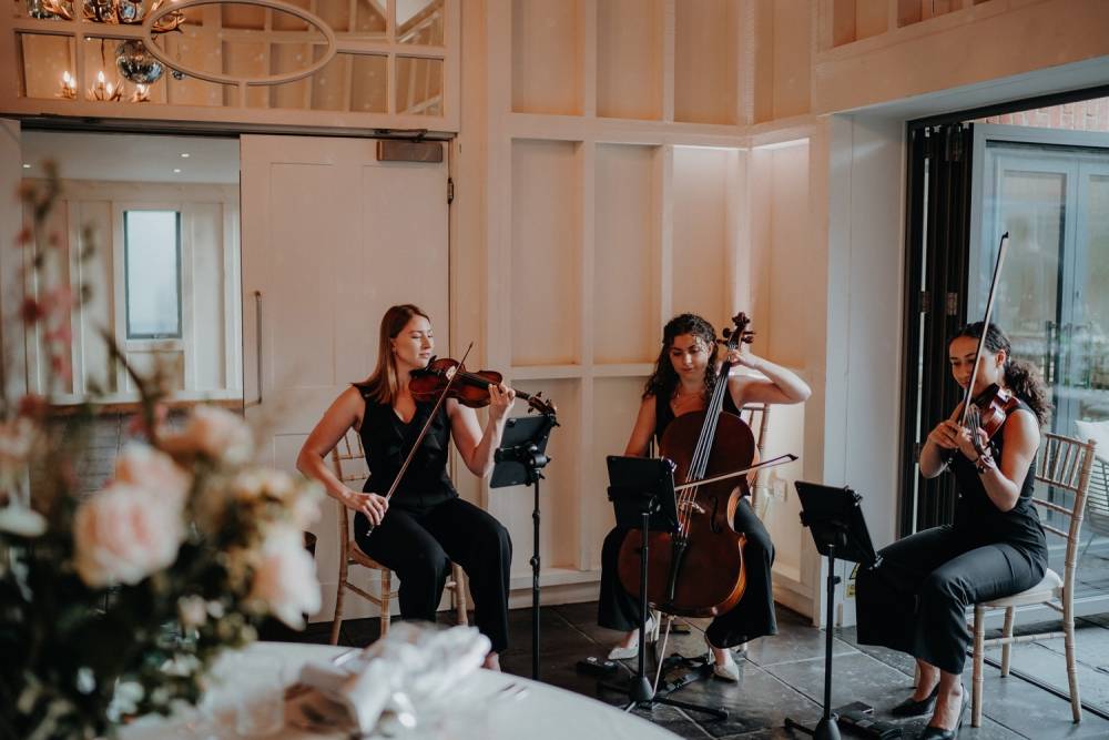 Midnight Strings
