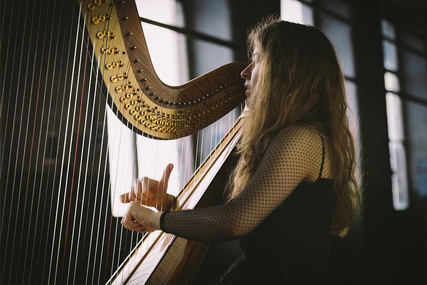 North West Female Harpist