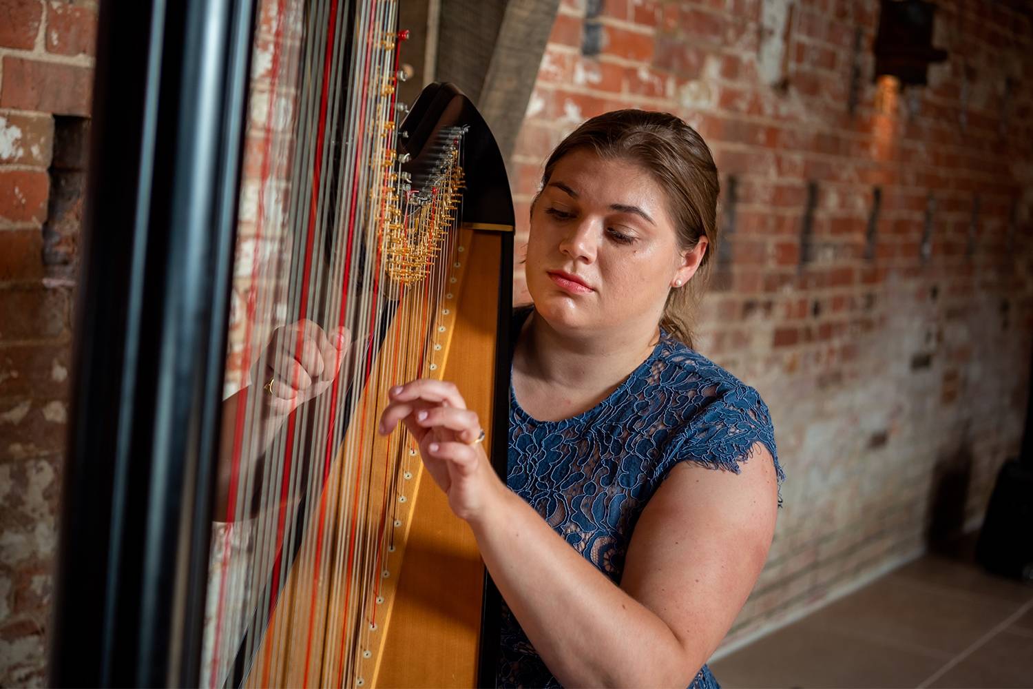 Midlands Based Female Harpist