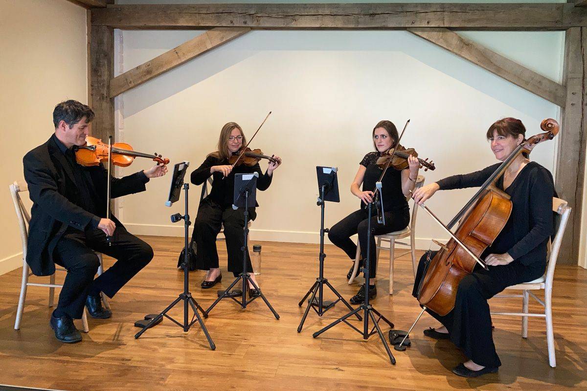 West Midlands Based String Quartet