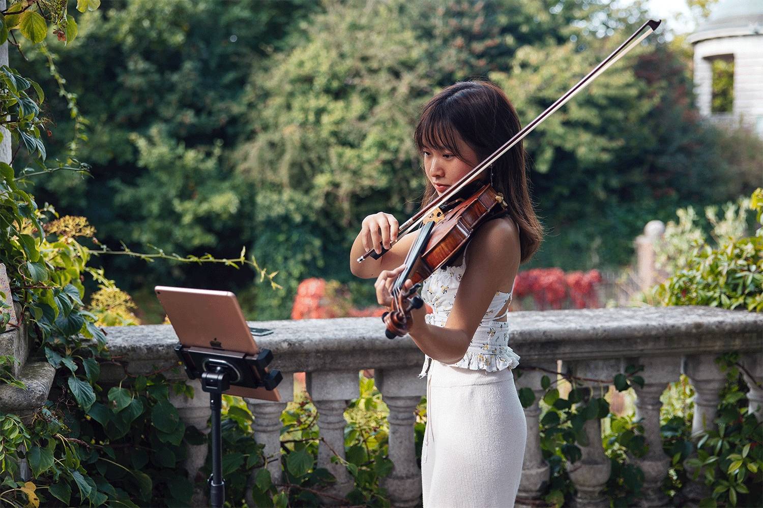 Joie - Violinist