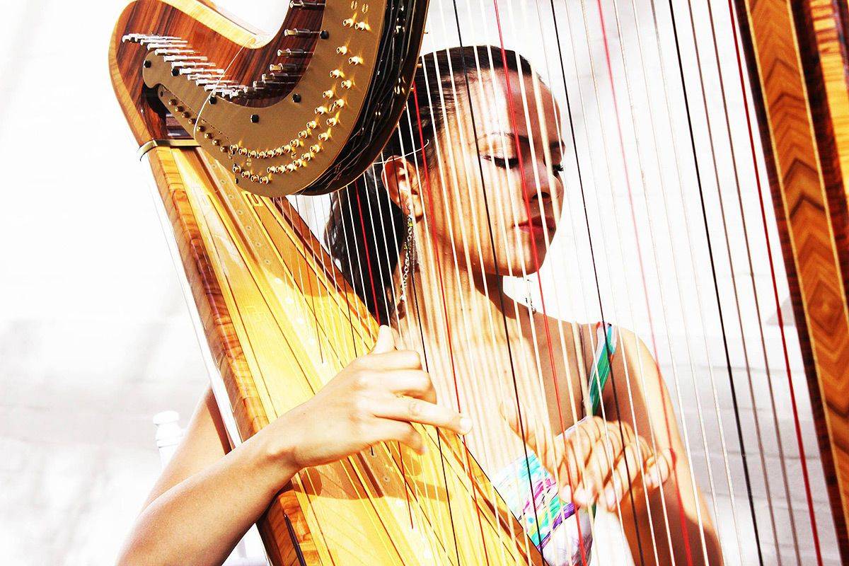 Female Harpist For Hire