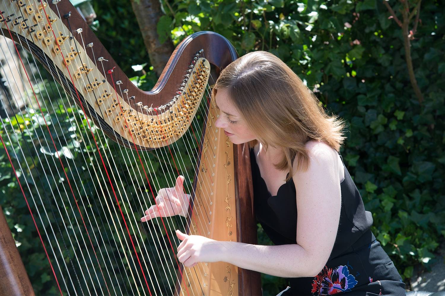 Scottish Female Harpist