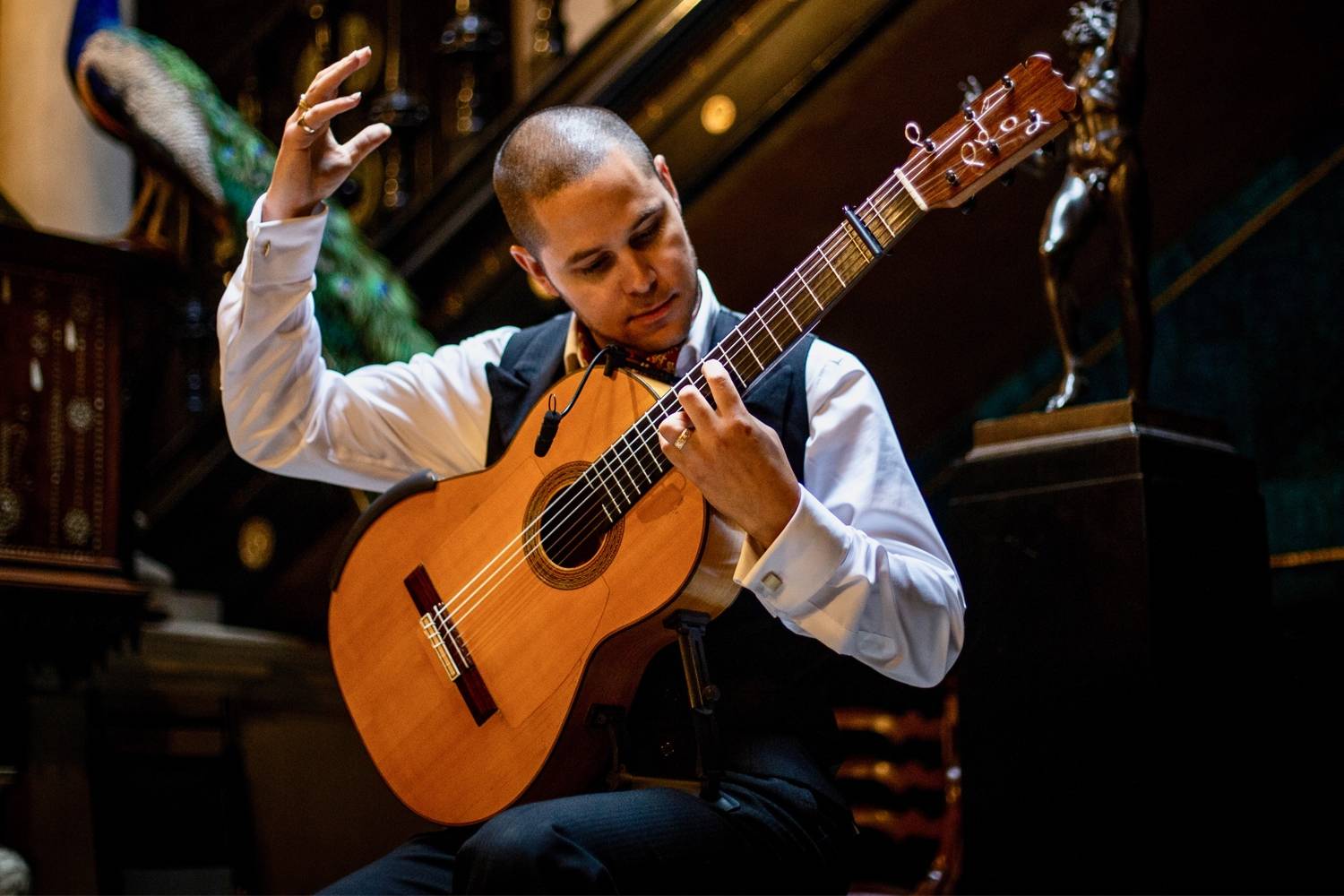 Solo Flamenco Guitarist